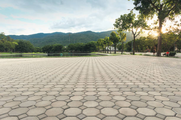 Best Custom Driveway Pavers  in Glenwood, MN