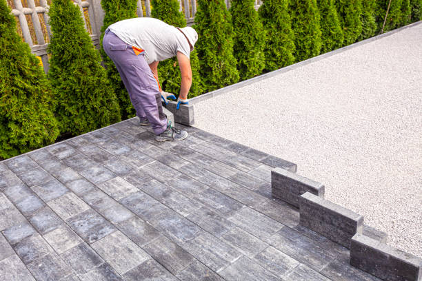 Best Decorative Driveway Pavers  in Glenwood, MN