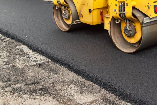 Best Local Driveway Pavers  in Glenwood, MN
